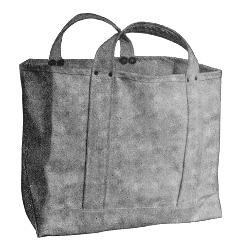 L.L. Bean ice carrier tote bag
